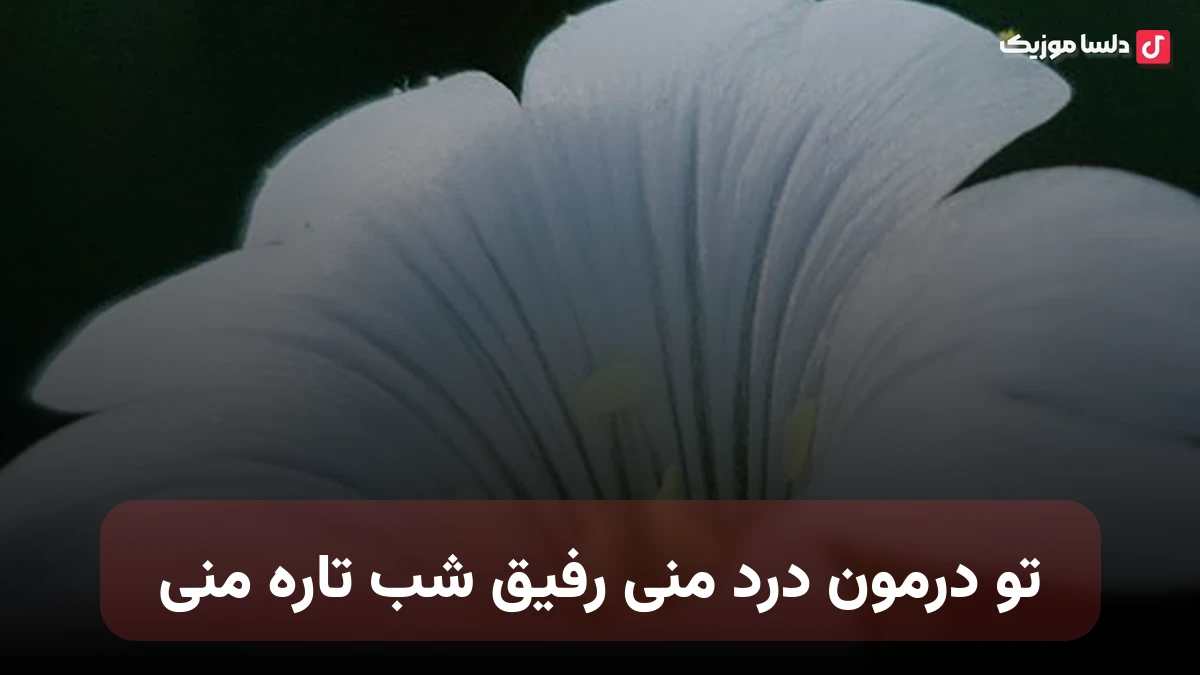 تو درمون درد منی رفیق شب تاره منی